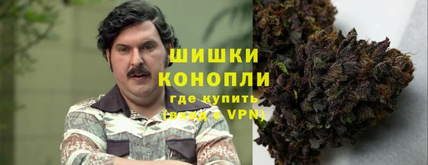 спиды Лагань