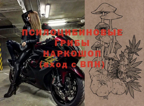 первитин Лабытнанги