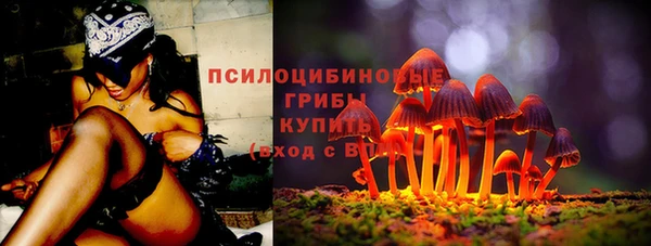 дживик Ладушкин