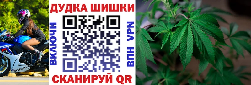 Купить где  Муром  Каннабис VHQ 